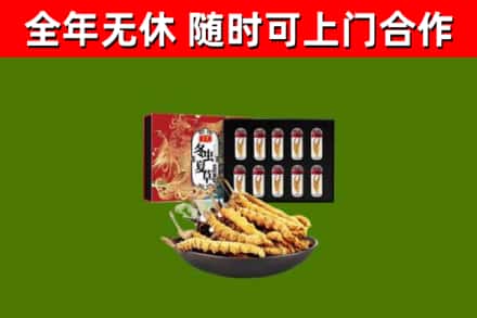 麻栗坡烟酒回收冬虫夏草礼盒.jpg